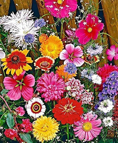 Dirt Goddess Super Seeds ~ Cut Flower Mix Seed (1/4 Lb)