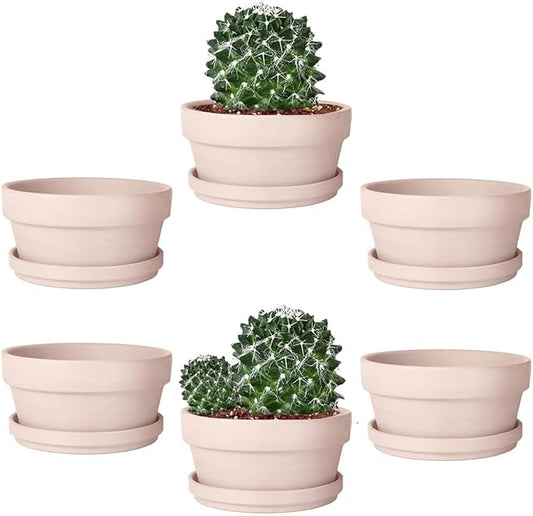 vensovo 5.7 Inch Pink Terracotta Shallow Succulent Pots - 6 Pack Terra Cotta Clay Pot with Saucer, Cacuts Indoor and Outdoor Planters with Drainage Hole