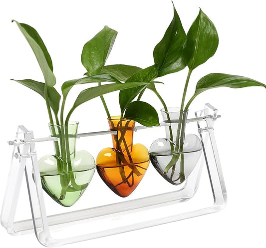 Plant Terrarium Propagation Stations with Acrylic Stand Birthday Gifts for Women Plant Stand Indoor Office Home Decor