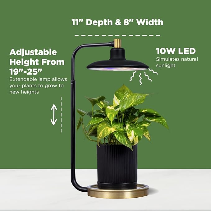 AeroGarden Tabletop Grow Light for Indoor Plants, Grow Live Plants Anywhere in The Home, Adjustable Light Modes, Black