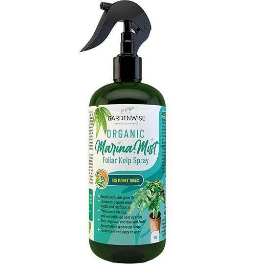 Organic Marina Mist Foliar Spray for Money Tree | Liquid Fertilizer | Micro Nutrients for Vital Health | Liquid Plant Food (8 OZ)