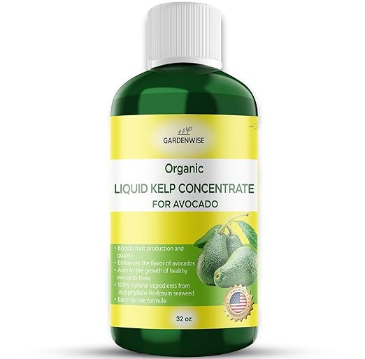 Organic Premium Kelp Seaweed Fertilizer - Liquid Plant Food - Nutrient-Rich Soil Enhancer - Improves Fruit Yield and Quality - Natural Plant Food for Avocado Tree (32 OZ)