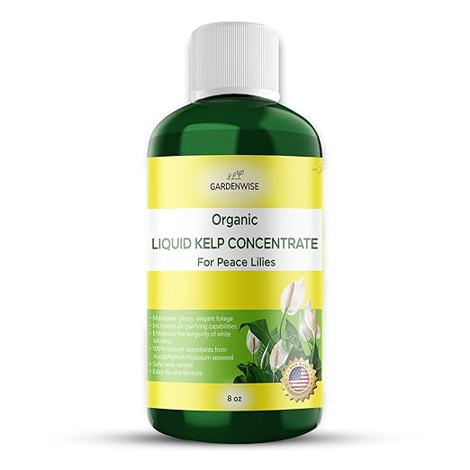 Organic Premium Kelp Seaweed Fertilizer for Peace Llily - Liquid Plant Food - Nutrient-Rich Soil Enhancer - Natural Plant Food for Spathiphyllum (8 OZ)