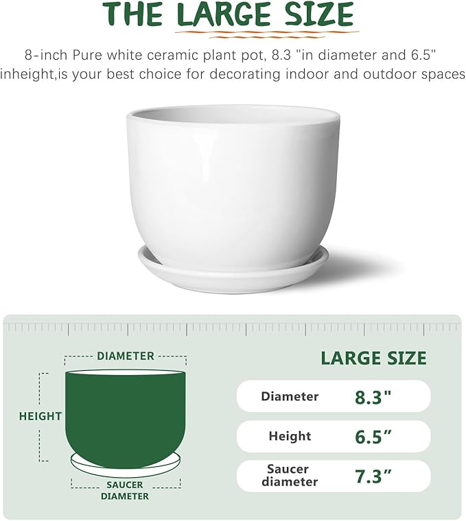 8 Inch Ceramic Planter, Plant Pots with Drainage Hole and Separable Saucer,Indoor-Outdoor Round Succulent Orchid Flower Pot,Indoor pots for Plants(Smooth White,Plant Pot only)