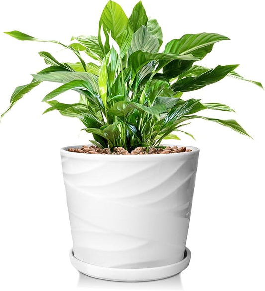 8 Inch Plant Pot, Ceramic Planter with Drainage and Saucer, Ceramic Pots for Plants, Indoor Plant pots,Succulent Orchid Flower Pot(Pure White)