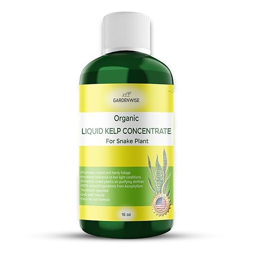 Organic Seaweed Kelp Liquid Fertilizer for Sansevieria - Snake Plant Food (16 OZ)