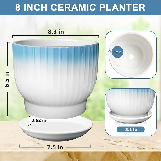 8 Inch Plant Pot, Ceramic Planter with Drainage and Saucer, Ceramic Pots for Plants, Indoor Plant pots,Ceramic Flower pots(Blue + White, Plants NOT Included)