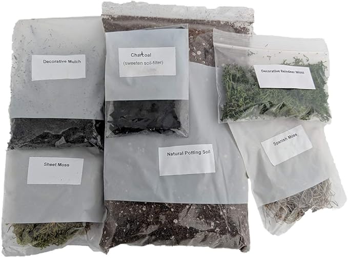 Hirt's Gardens Terrarium Kit - Create Your Own Living Terrarium