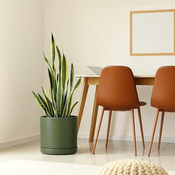 D'vine Dev 12 Inch Ceramic Planter Pot with Drainage Hole and Saucer, Indoor Cylinder Round Planter Pot, Olive, 94-O-F-J