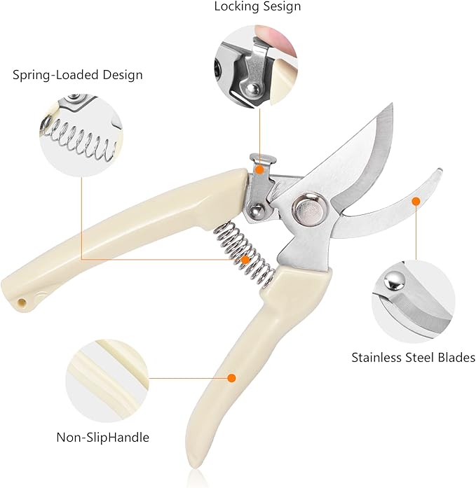 Garden Scissors for Plant, Tip Pruning Shears for Cutting Flowers, Trimming Plants, Bonsai and Fruits Picking (2 PC Bypass Blade Pruner)