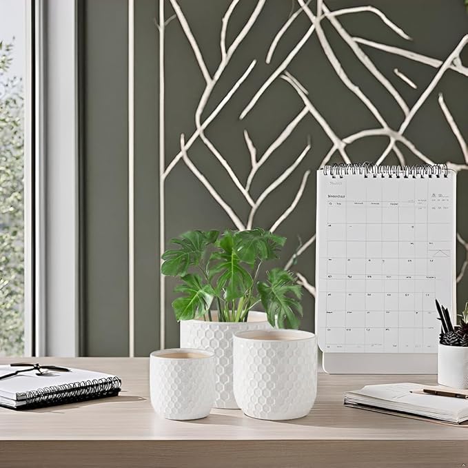Docrin Ceramic Plant Pots Indoor: 6.5+5.3+4 Inch Planters with Drainage Holes for Home/Office - Set of 3 / White Honeycomb