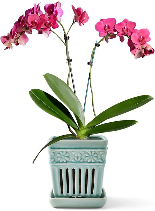Orchid Pots with Holes | 5" Ceramic Orchid Planter with Separate Saucer and Drainage Holes | Crackle Glazed Pottery Small Flower Pot for Repotting Orchids（Blue）