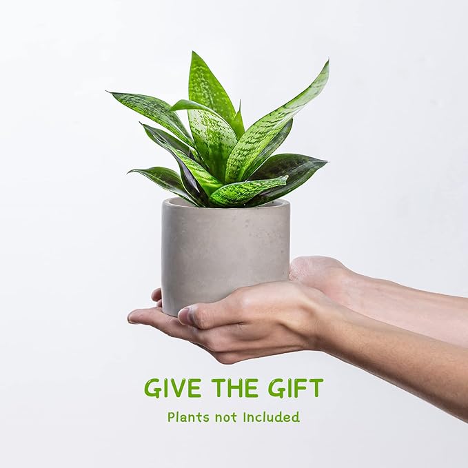 Ekirlin 3.5 in Plant Pot Indoor - Grey Cement Planters with Drain Hole, Removable Rubber Stopper, Non-Slip Soft Pad - Concrete Planter for Most Indoor Plants and Flowers