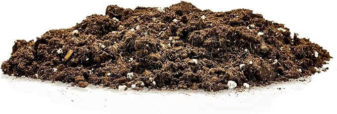 Premium Bamboo Potting Soil Mix - (1 Quart Bag)