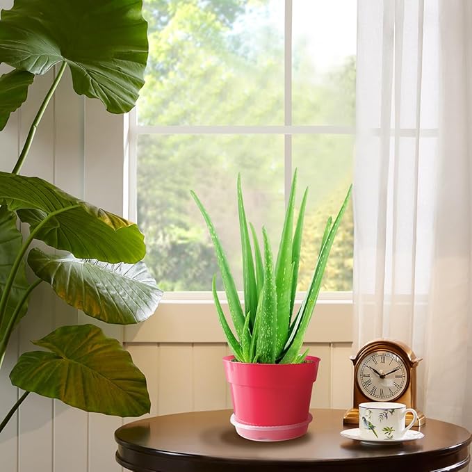 8 inch Plastic Flower Pots, Red Plant Pots 12Pack with Saucers for Indoor House Plants Growing and Decoration