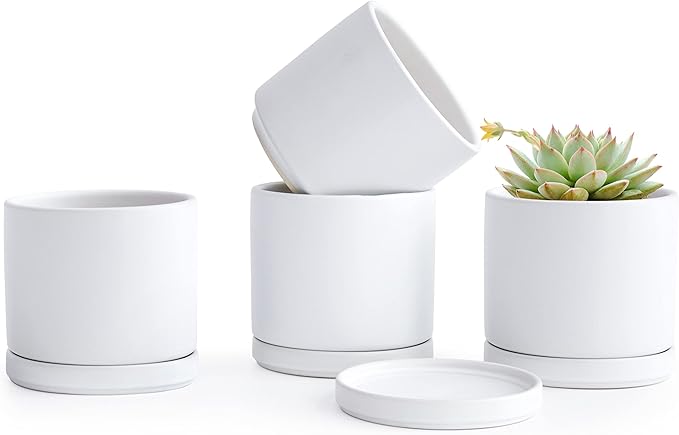 D'vine Dev Set of 4 Small Ceramic Plant Pots, 4.6 Inch Succulent Planter Pot for Plants with Drainage Hole and Saucer, White, 94-X-B-1