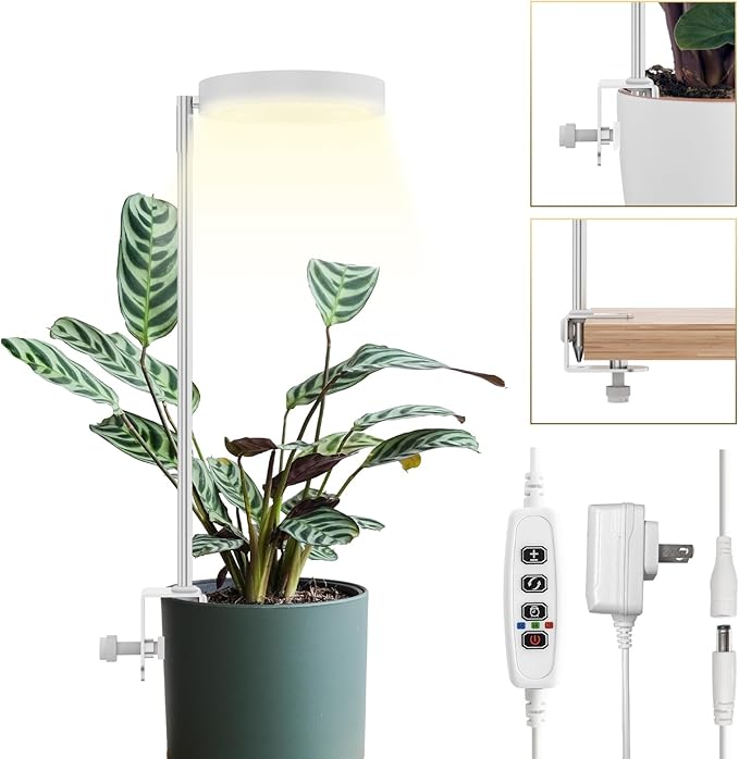 GLOWRIUM Grow Lights for Indoor Plants, Full Spectrum Plant Lights with Clip, Height Adjustable&3 Spectrum Mode, 3/9/12h Automatic Timer, 10 Dimmable Brightness, Mini Halo Grow Lights for Small Plant