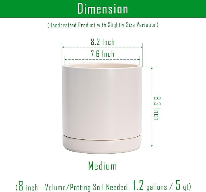 D'vine Dev 8 Inch Ceramic Planter Pot with Drainage Hole and Saucer, Indoor Cylinder Round Planter Pot, Oatmeal, 94-O-D-8