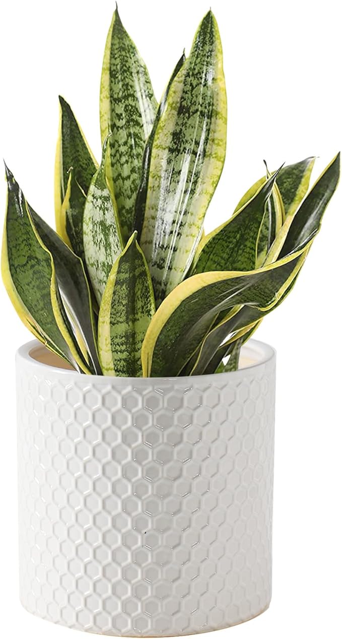 Docrin Ceramic Planters Indoor: 8 Inch Plant Pot with Drainage Holes for Home/Office - White Honeycomb