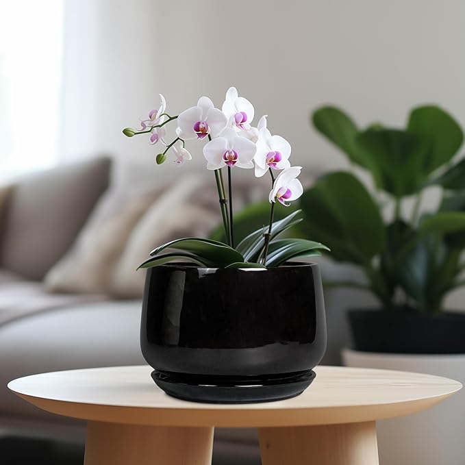 G EPGardening Ceramic Planter 7 Inch - Ceramic Pot for Plants with Drainage and Saucer, Round Plant Pots, Modern Indoor Outdoor Planter, Home Decor, Garden Gifts, Black