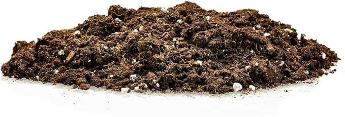 Premium Snake Plant Potting Soil Mix - 20 Quart - Green Sansevieria Trifascatia Zeylanica Plants, Plant or Re-Pot Your Snake Plant (4 Bags of 5 Quart)