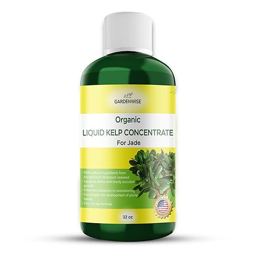 Organic Premium Kelp Seaweed Fertilizer for Jade - Liquid Fertilizer - Liquid Plant Food - Nutrient-Rich Soil Enhancer - Natural Plant Food for Jade Plant (32 OZ)