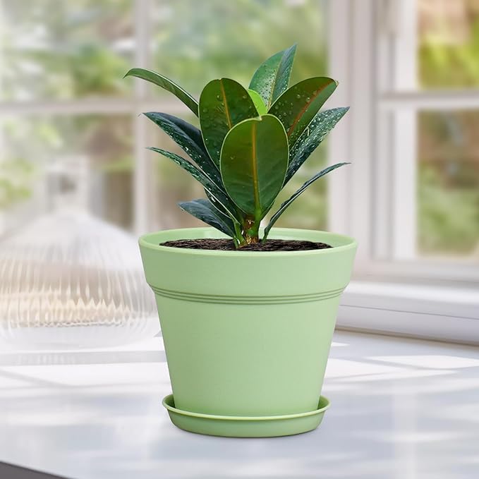 4 inch Small Plastic Nursery Pots, Seedling Pots - 16 Pack Plant Pots for Indoor & Outdoor Plants, Decorative Flower Pots with Drainage Holes and Saucers for House Plants, Green