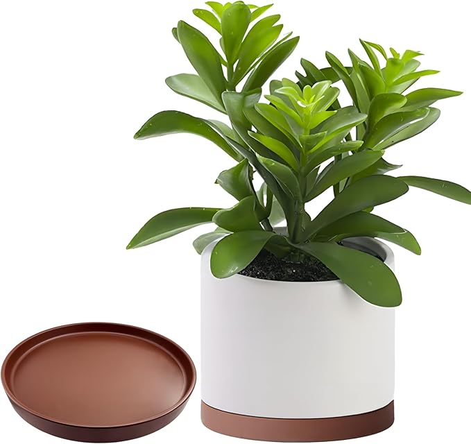 Ceramic Plant Saucer Pot Tray 12 Inch, Planter Saucers 4 5 6 7 8 9 10 11 12 13 Inch for Indoors Outdoor, Durable Sturdy Flower Drainage drip Water Tray for Glazed Pots Base (12.7 Inch-Brown)