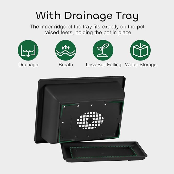 GROWNEER Bonsai Training Pots with Drainage Trays 3 Packs 6.5 Inch, Durable Bonsai Tree Starter Set Kits with Repotting Mat Small Indoor Outdoor Growing Pot Rectangle Planter, Built in Mesh