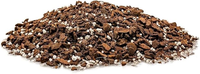 Premium Swiss Cheese Plant Potting Mix - Monstera Deliciosa Blend for Optimal Nutrients and Drainage for Healthy Growth - 2 Quart