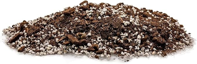 Palm Tree Potting Mix - The Ultimate Soil for Strong and Healthy Palms - Top Choice for Palm Tree Growers [3 Quart Bag]