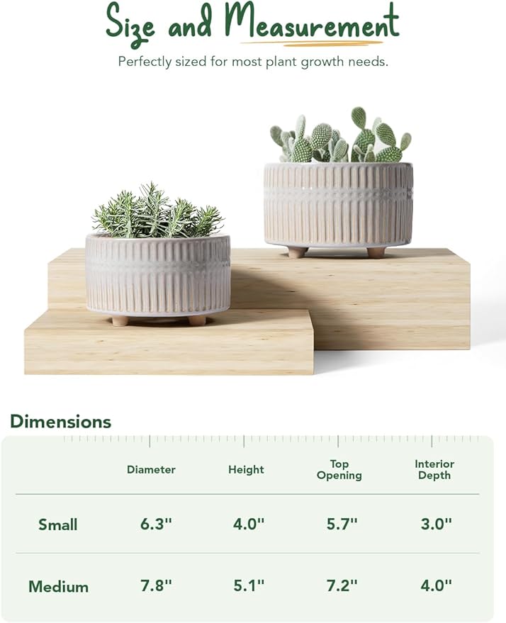 LE TAUCI Succulent Pots, 6.5+8 Inch Ceramic Indoor Plant Pot with Drainage Hole, Modern Round Decorative Flower Pot, Set of 2, Reactive Glaze Star White