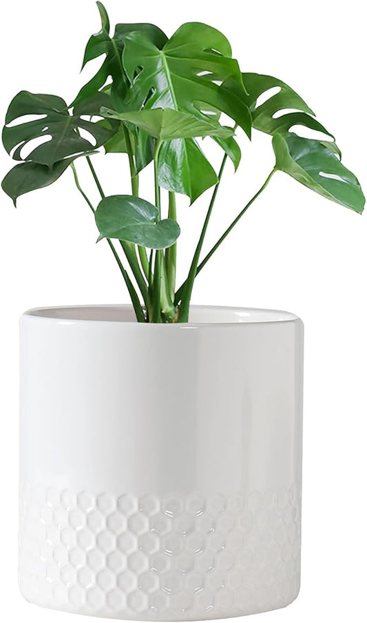 Docrin Ceramic Planters Indoor: 8 Inch Plant Pots with Drainage Holes for Home/Office - White Honeycomb