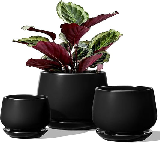 LE TAUCI Plant Pots, 4.1+5.1+6.5 inch, Set of 3, Ceramic Planters with Drainage Hole and Saucer, Indoor Flower Pot with Hole Mesh Pad, Gifts for Mom, Black