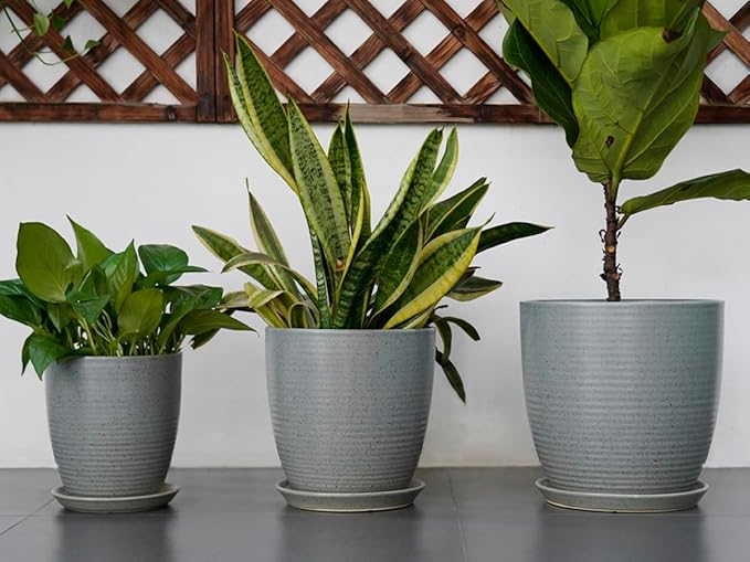 8 Inch Plant Pot Ceramic Planter Pot with Drainage Hole and Saucer Modern Round Flower Pot for Indoor Plants Light Gray