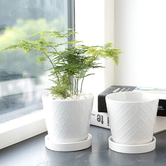 Plant Pots Indoor –5 inch Ceramic Flower Pot with Drainage Hole and Ceramic Tray - Gardening Home Desktop Office Windowsill Decoration Gift, Set of 4 - Plants NOT Included (White)
