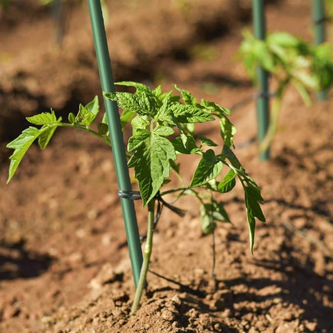 4ft 8pack Garden Stakes 1/4" Dia FRP Plant Supporting Stakes for Climbing Tomato Cucumber Strawberry Bean Tree, Pack of 8, Dark Green(48inch)