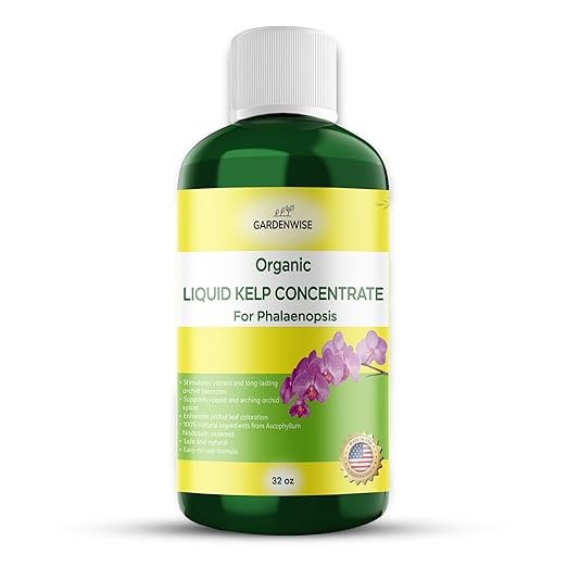 Organic Premium Kelp Seaweed Concentrate: Fertilizer for Phalaenopsis Orchids – Liquid Plant Fertilizer – Orchid Bloom Booster – Seaweed Extract for Plants (32 OZ)