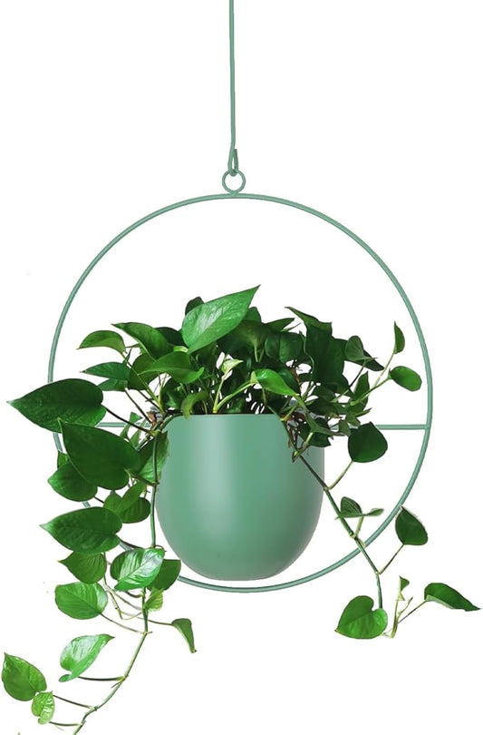 Metal Hanging Planter for Indoor Outdoor Plants Wall and Ceiling Hanging Basket for Vines Ferns Modern Minimalist Plant Hanger Room Window Decor(Green)