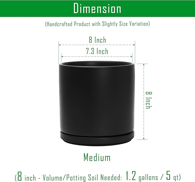 D'vine Dev 8 Inch Ceramic Planter Pot with Drainage Hole and Saucer, Indoor Cylinder Round Planter Pot, Black, 94-O-D-2