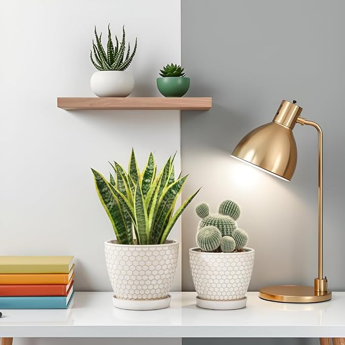 Docrin Ceramic Plant Pots Indoor, 6.6 + 5.5 Inch Flower Pots with Drainage Holes and Saucer for Plants, Set of 2, Milky White Honeycomb