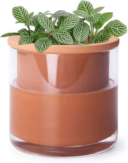 Phoenix Vine 4 Inch Self Watering Plants Pot, Design Terracotta Pot for Plants, Indoor Cylinder Terra Cotta Planter with Glass Vase, Set of 1, 51-A-E-1