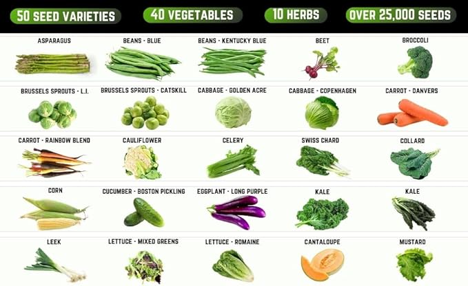 50 Vegetable & Herb Seeds Variety Pack - 25,000 Seeds - Long-Term Storage - Non-GMO Heirloom Open-Pollinated Gardening Seeds for Planting Vegetables & Herbs - Waterproof Packaging