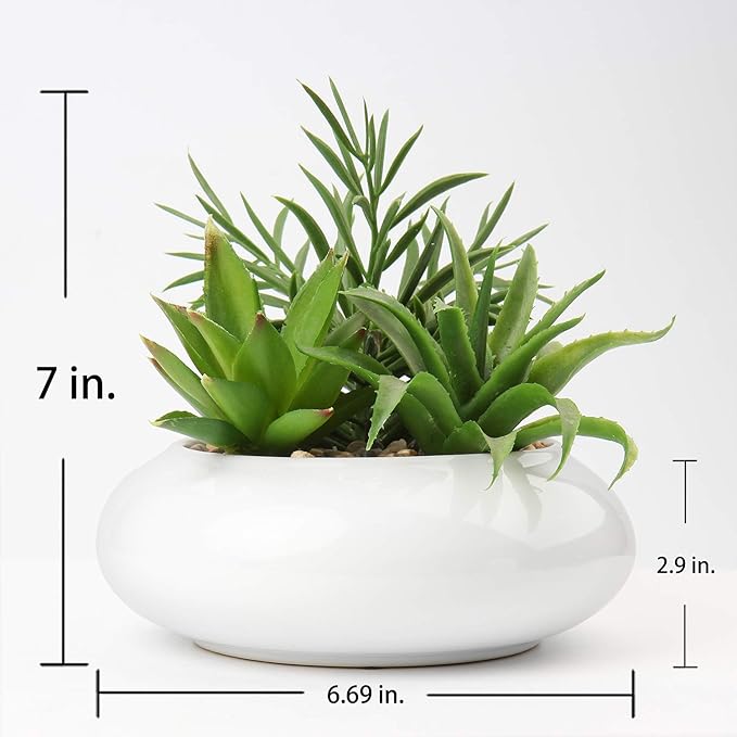 Hollyone Large Artificial Succulents Plants Faux Succulents in Pots Fake Succulent Plastic Potted Plants with White Ceramic Pot for Home Decor Office Desk Bathroom Shelf Living Room Decoration