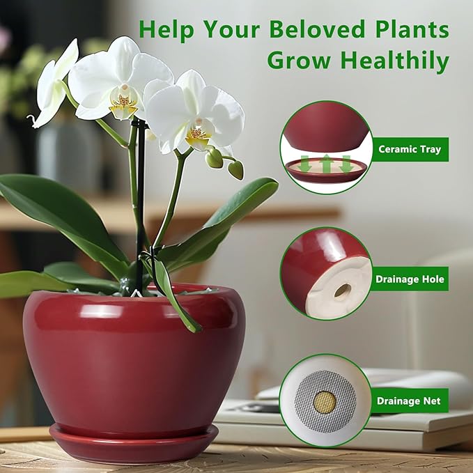 Ceramic Pot for Plants - 6 Inch Plant Pot Indoor with Drainage Hole and Saucer Succulent Pot Outdoor Planter Round Flower Pot for House Patio Decor Red