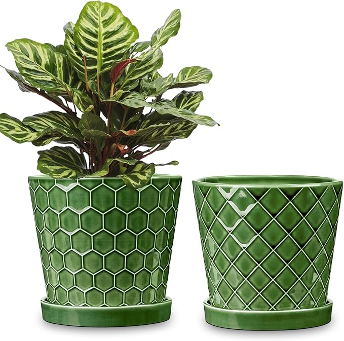 BUYMAX Plant Pots Indoor –6 inch Ceramic Flower Pot with Drainage Hole and Ceramic Tray - Gardening Home Desktop Office Windowsill Decoration Gift, Set of 2(Patina)