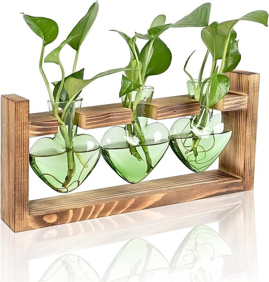 Plant Terrarium Propagation Stations Hydroponics Home Garden Decoration Gift for Women with Wooden Stand Heart Shaped Colored Glass Vase