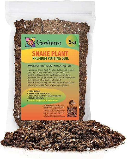 Premium Snake Plant Potting Soil Mix, Green Sansevieria Trifascatia Zeylanica Plants, Plant or Re-Pot Your Snake Plant - (5 Quart Bag)