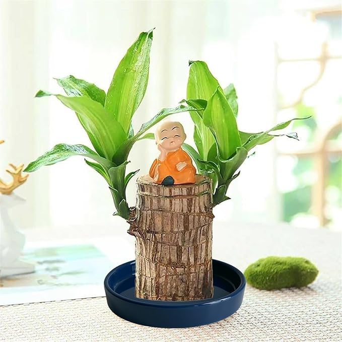 Ceramic Plant Saucer Plant Pot Tray 2 Pack 4.7 6 7 8 9 10 12 13 15 inch Blue, Planter Water Drip Trays for Plant Saucers Indoors, Thick Durable Sturdy Flower Pot Saucers for Glazing Pots Base