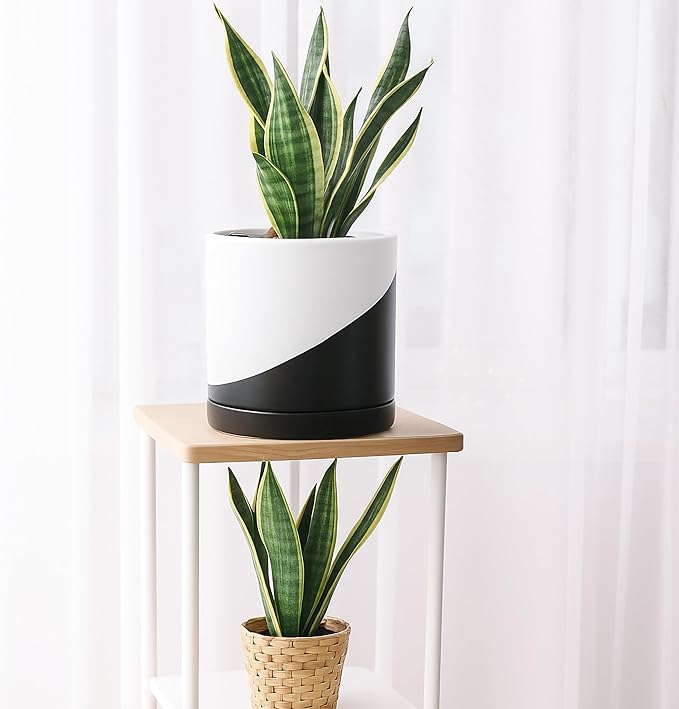 D'vine Dev 8.2 Inch Ceramic Planter Pot with Drainage Hole and Saucer, Indoor Cylinder Round Planter Pot, Oblique Monochrome Black and White, 94-O-D-K